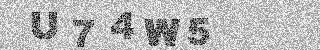 Potrditvena koda